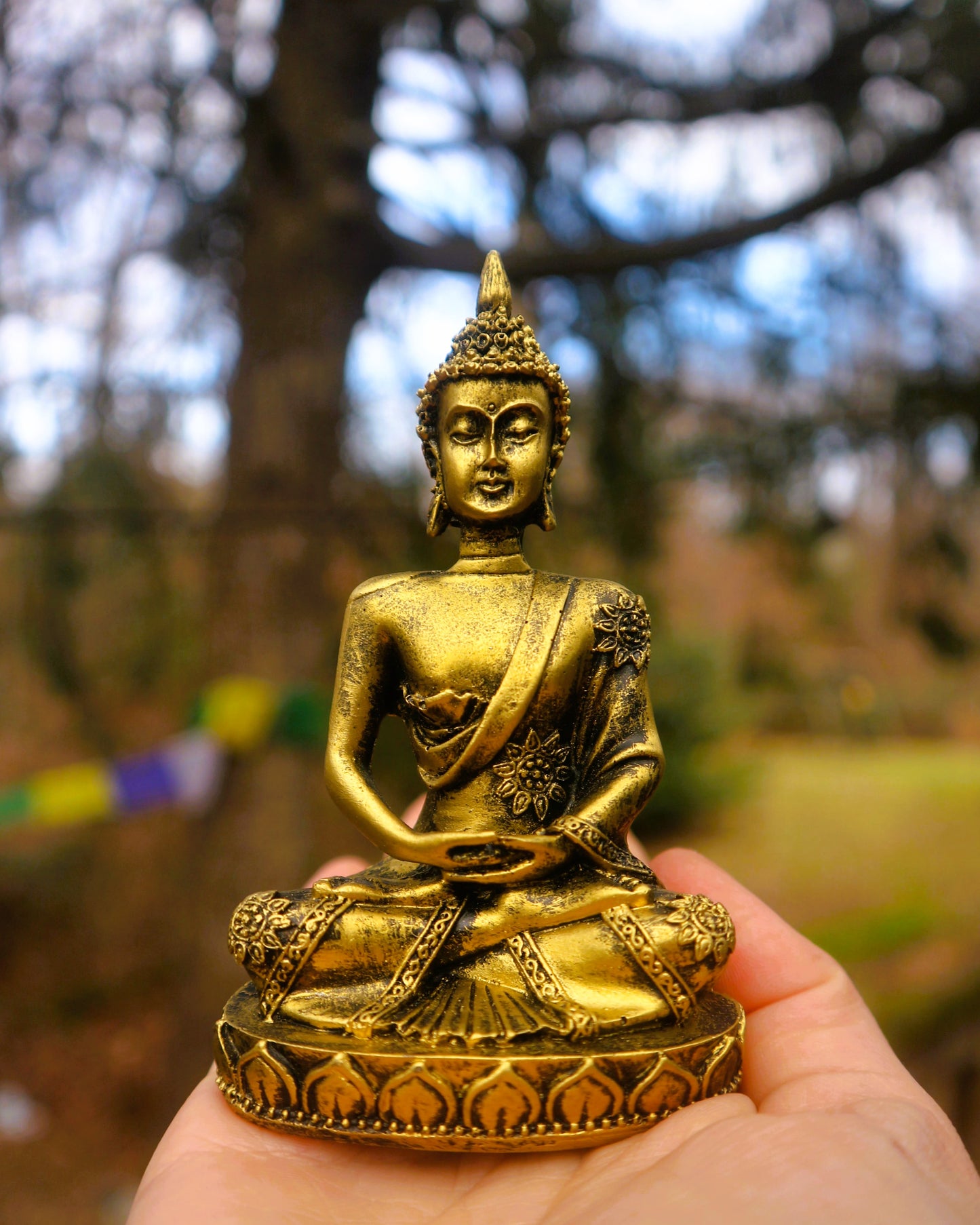 Buddha Statue